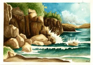 Custom Landscapes
